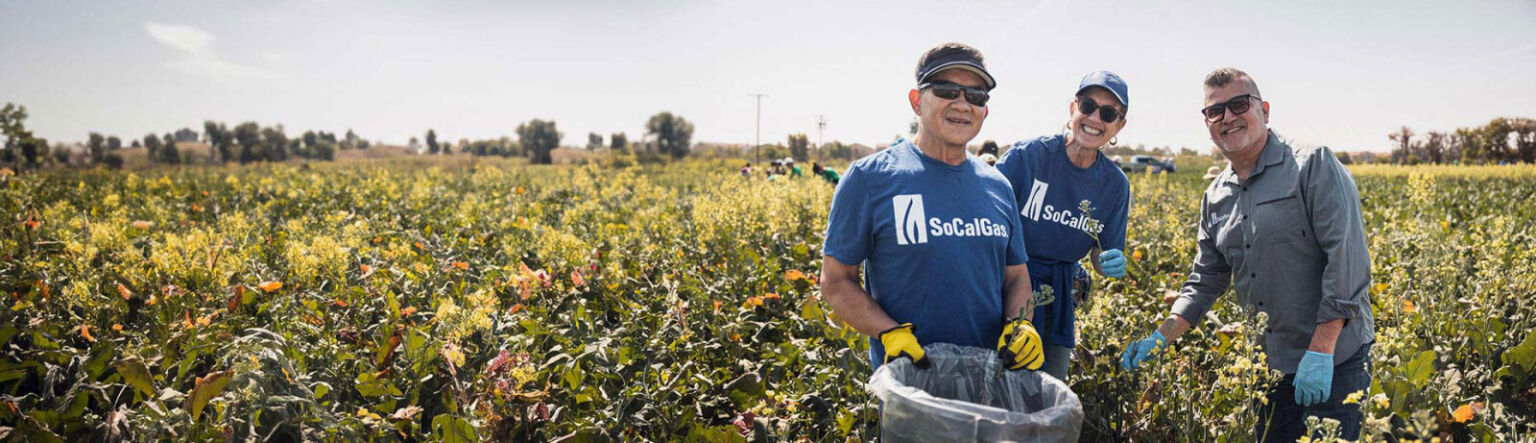 Employees smiling in a field