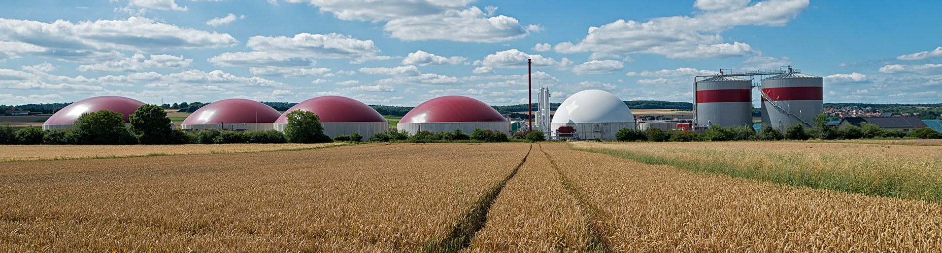 Grass Field Gas Storage