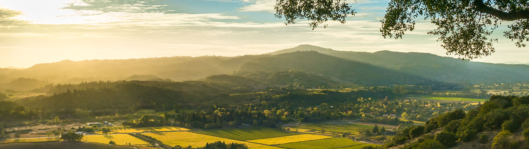 hero_grass-fields-sunset-aerial-view