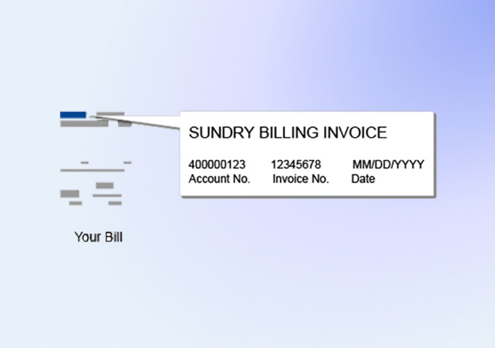 Sundry Billing Notice