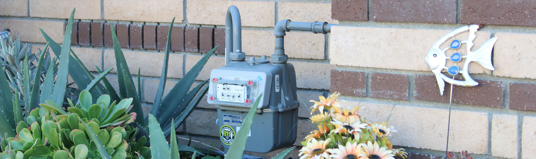 Gas meter by plants