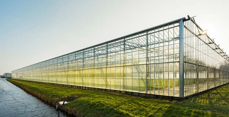 greenhouse near water