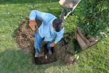 man with shovel digging in yard